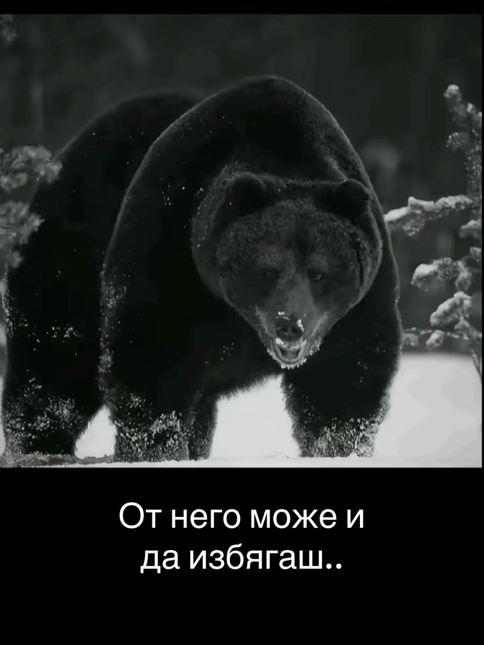 @bulgi26