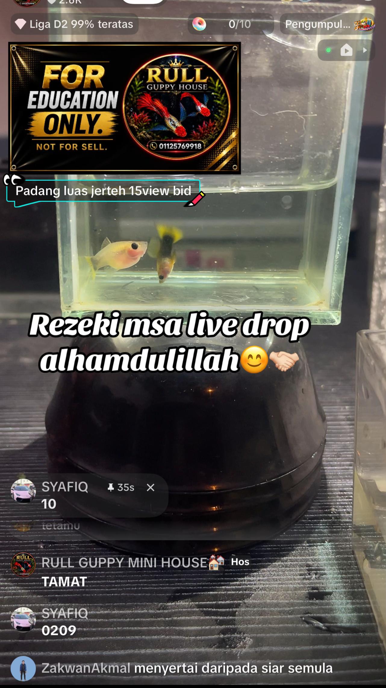 @RULL GUPPY MINI HOUSE🏘️