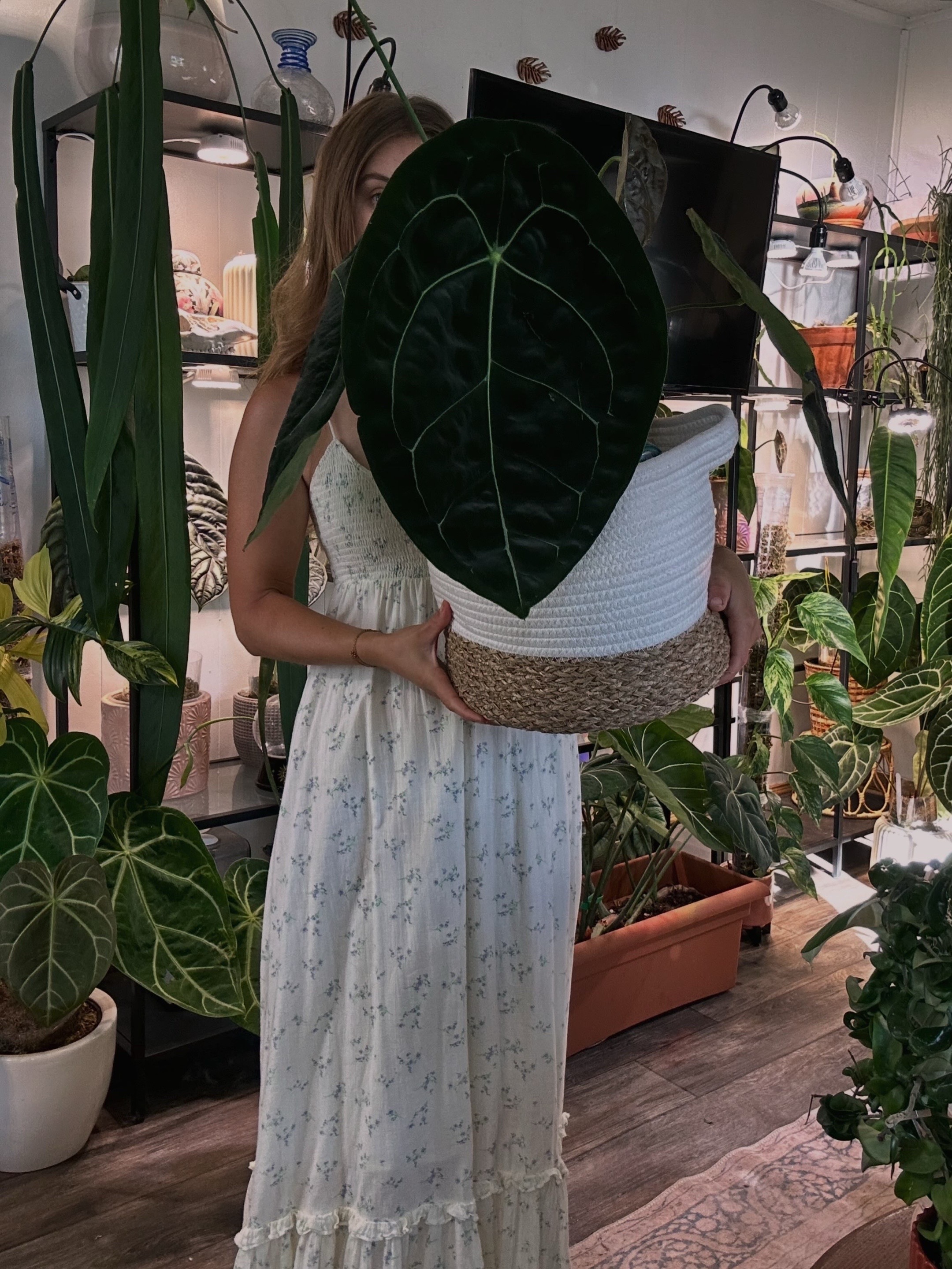 @theplantgirl_diaries