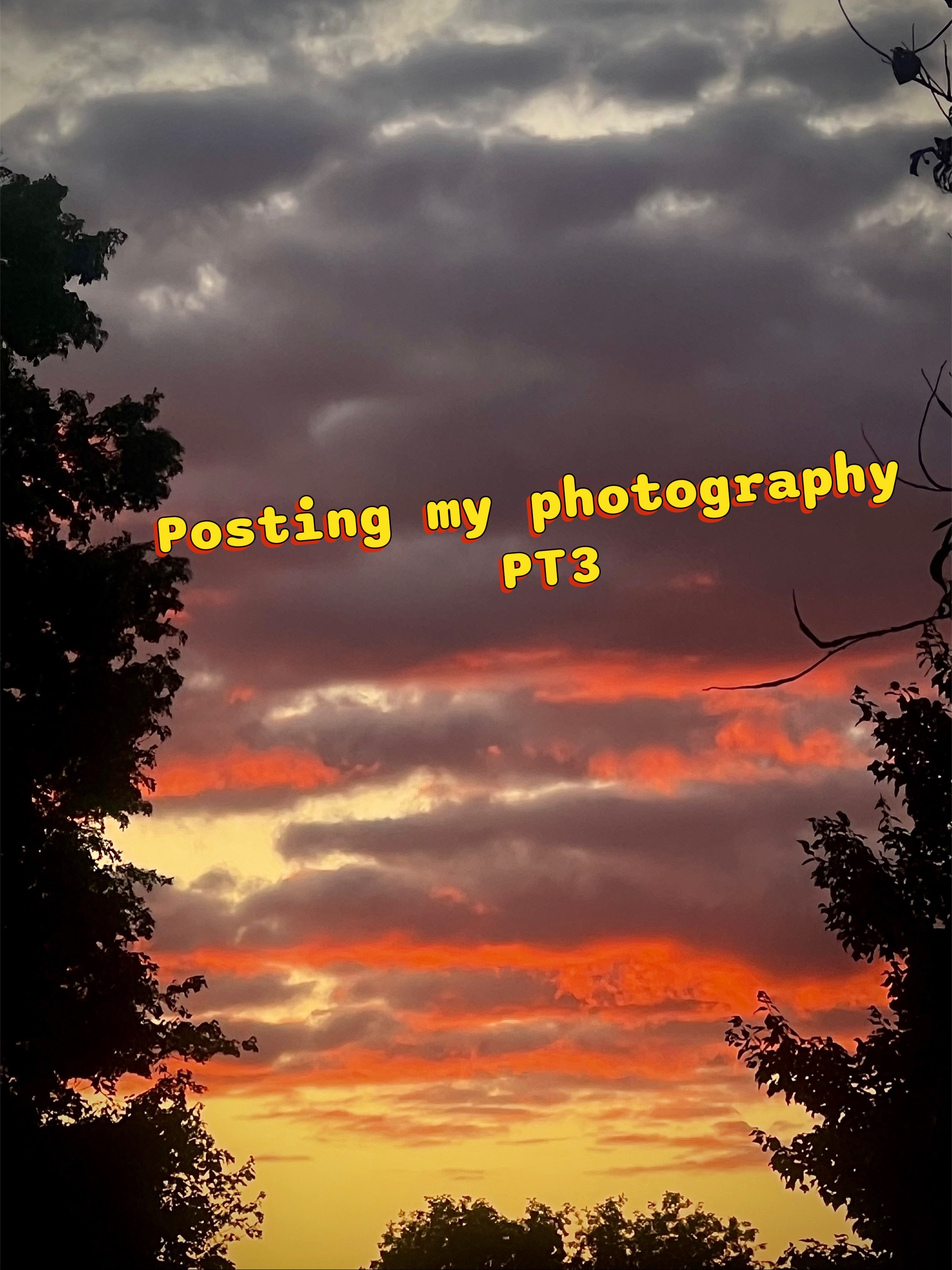 @NYC PHOTOGRAPHER