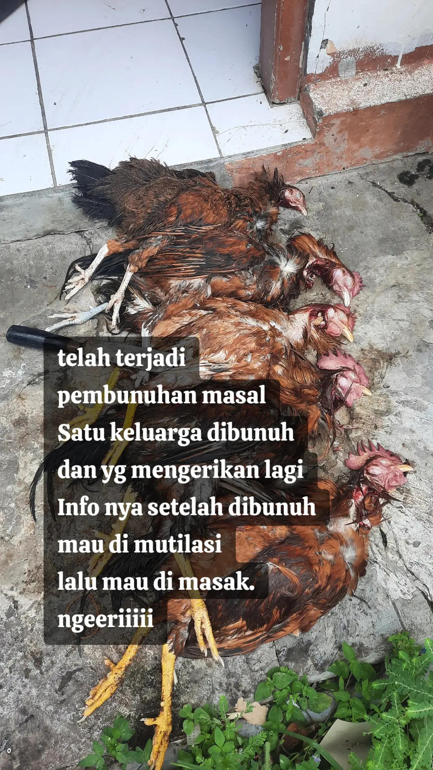 @BOJONE WONG