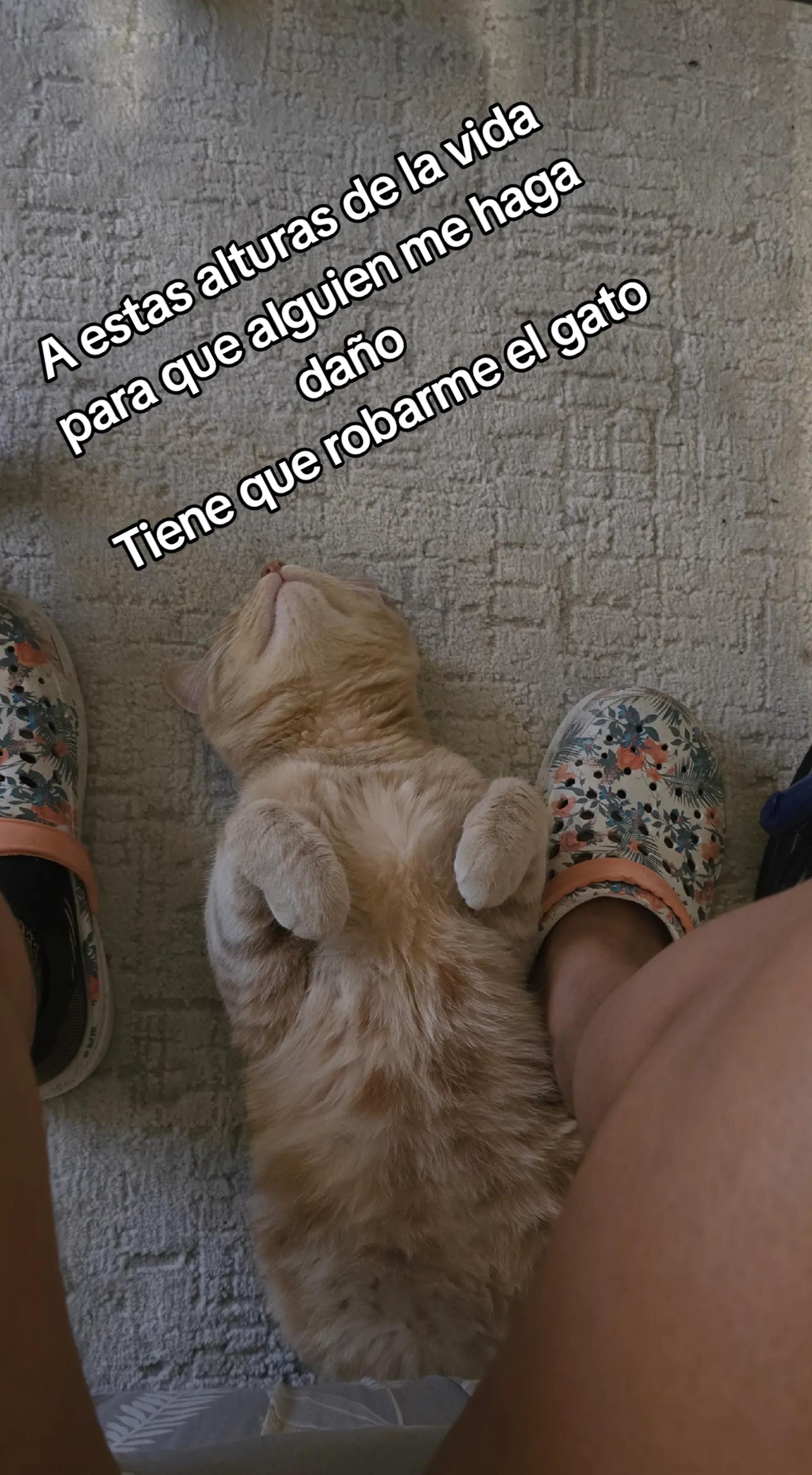@May💫⚘️