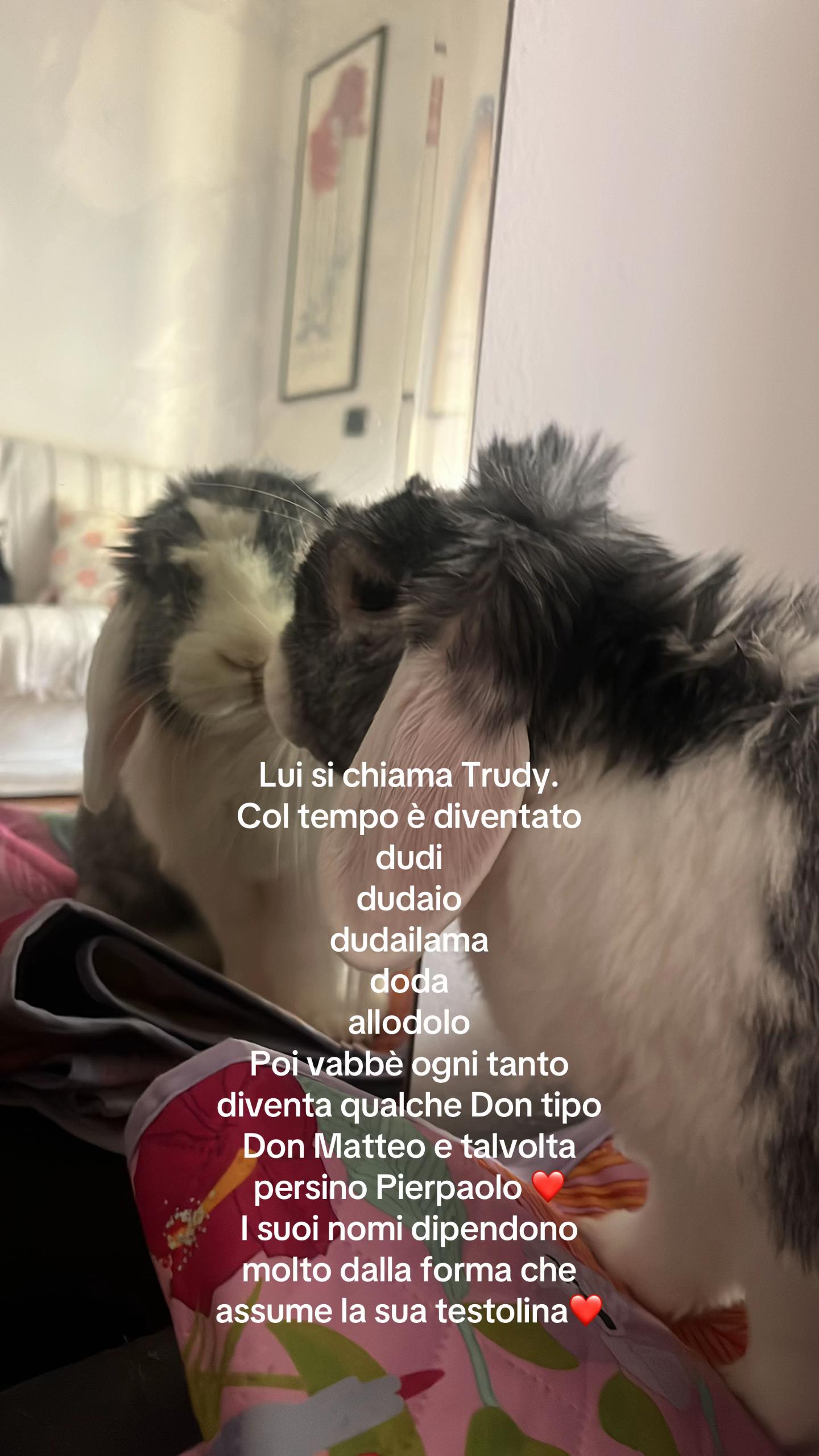 @frida.scaringi
