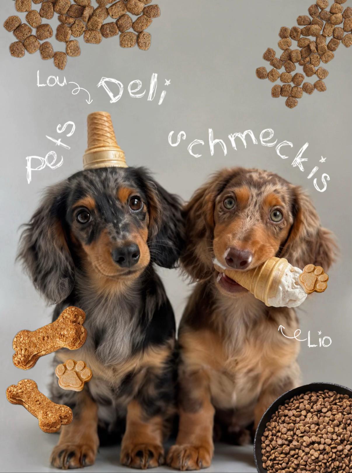 @Lio&Lou I Dachshund