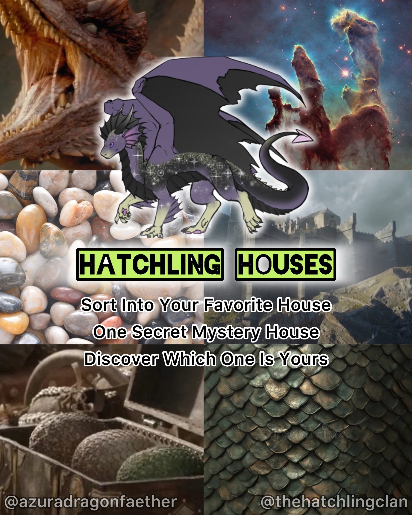 @The Draconic Priestess 🐉