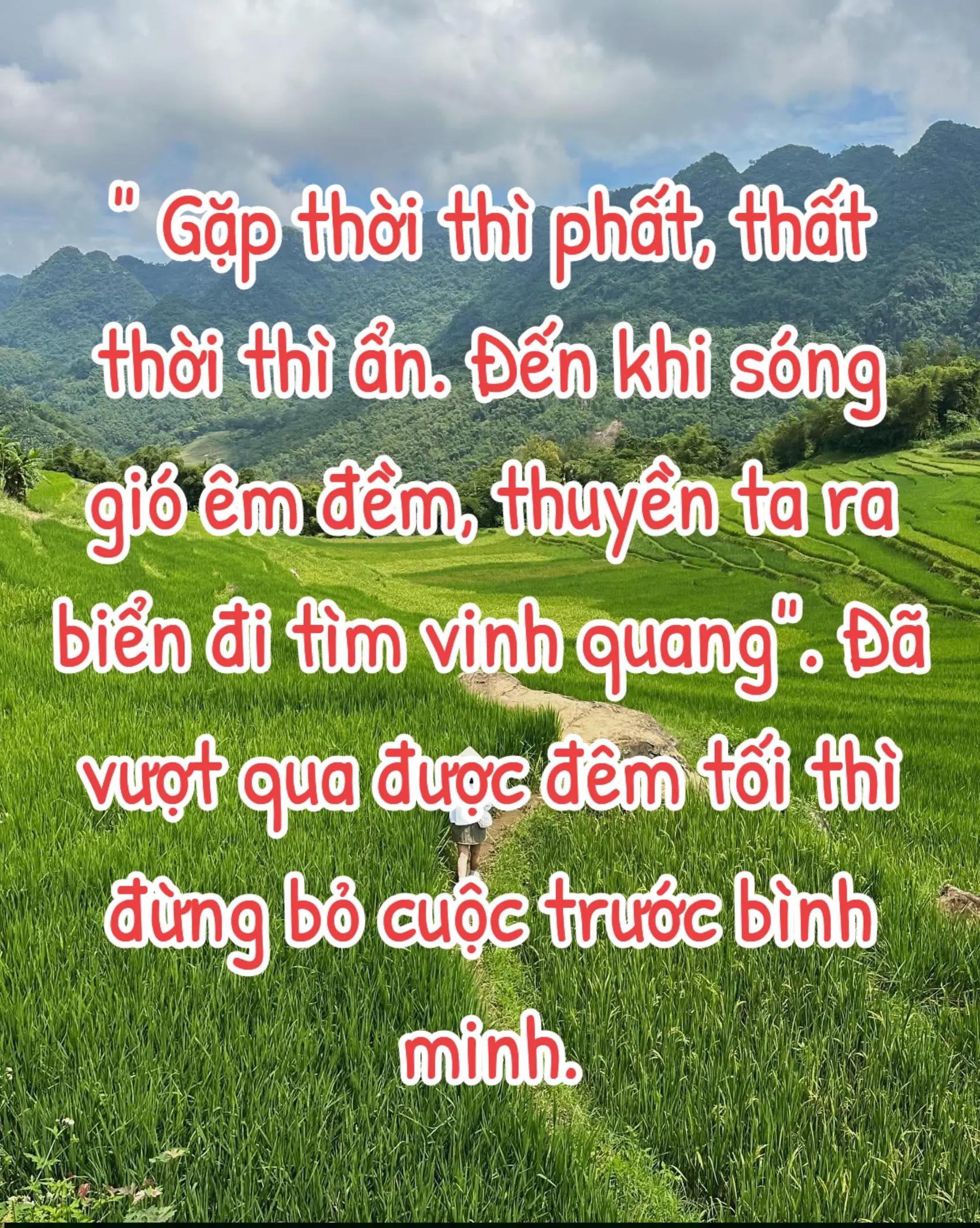 @HẢI TRUNG KIM.