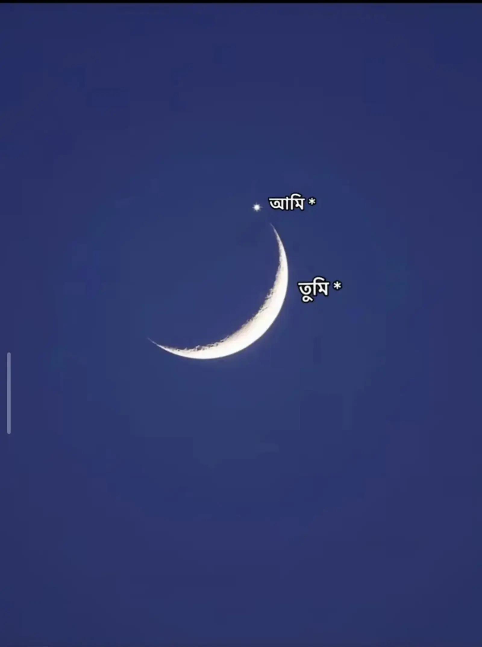 @𝐍_🐼