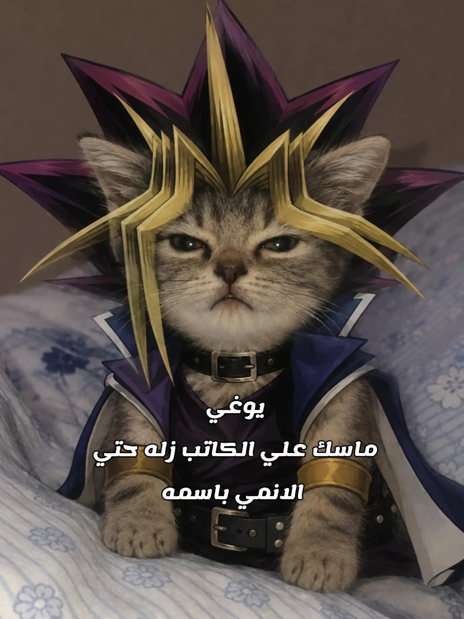 @Hesham Gaming