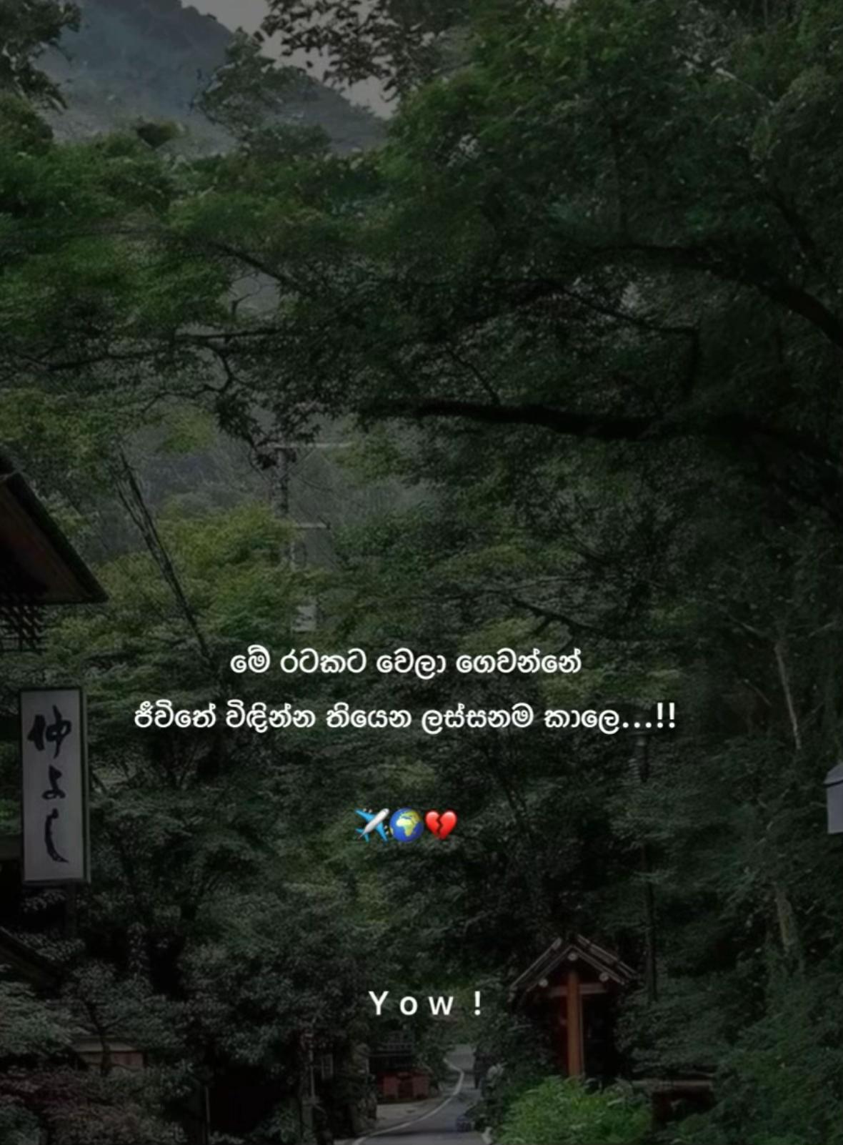 @ダス " 🩷🧚🇯🇵