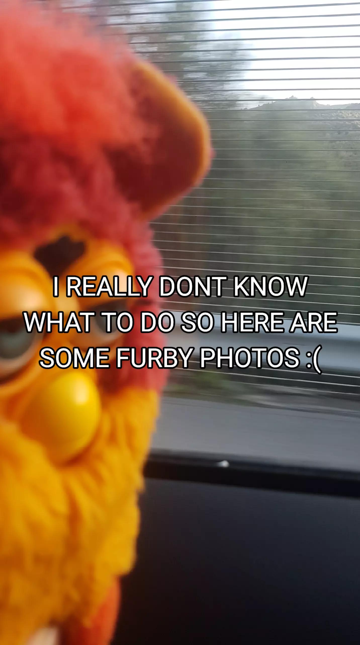 @Furby 1998