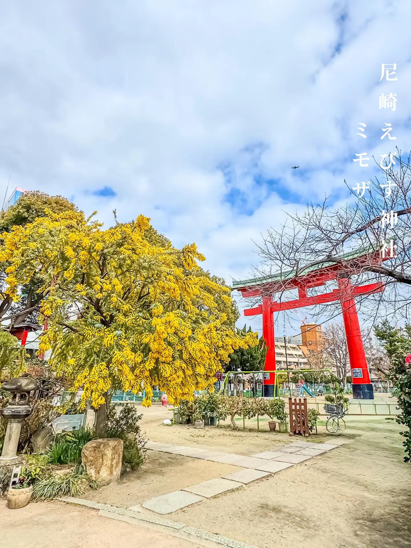@kyoto_ken