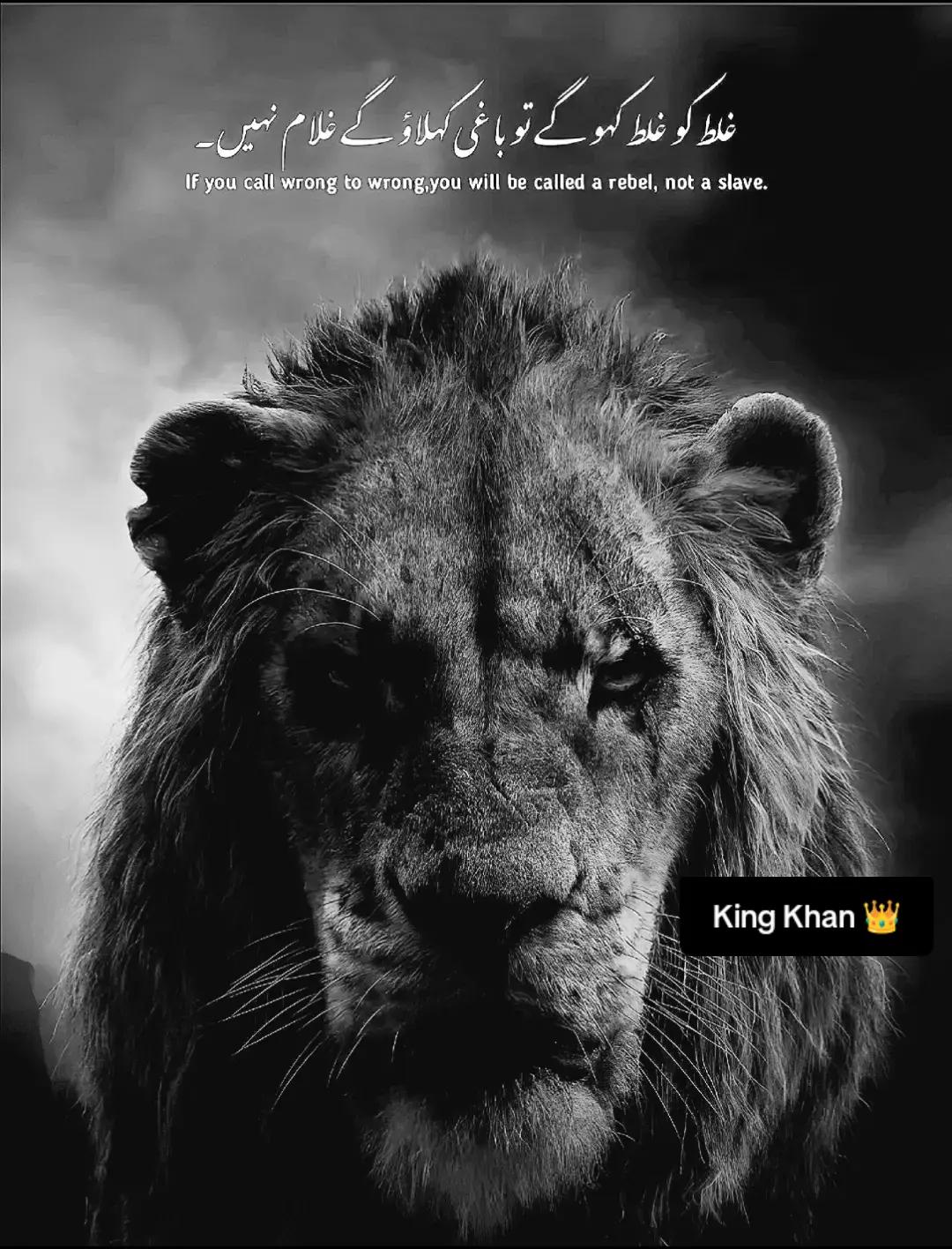@KING KHAN👑