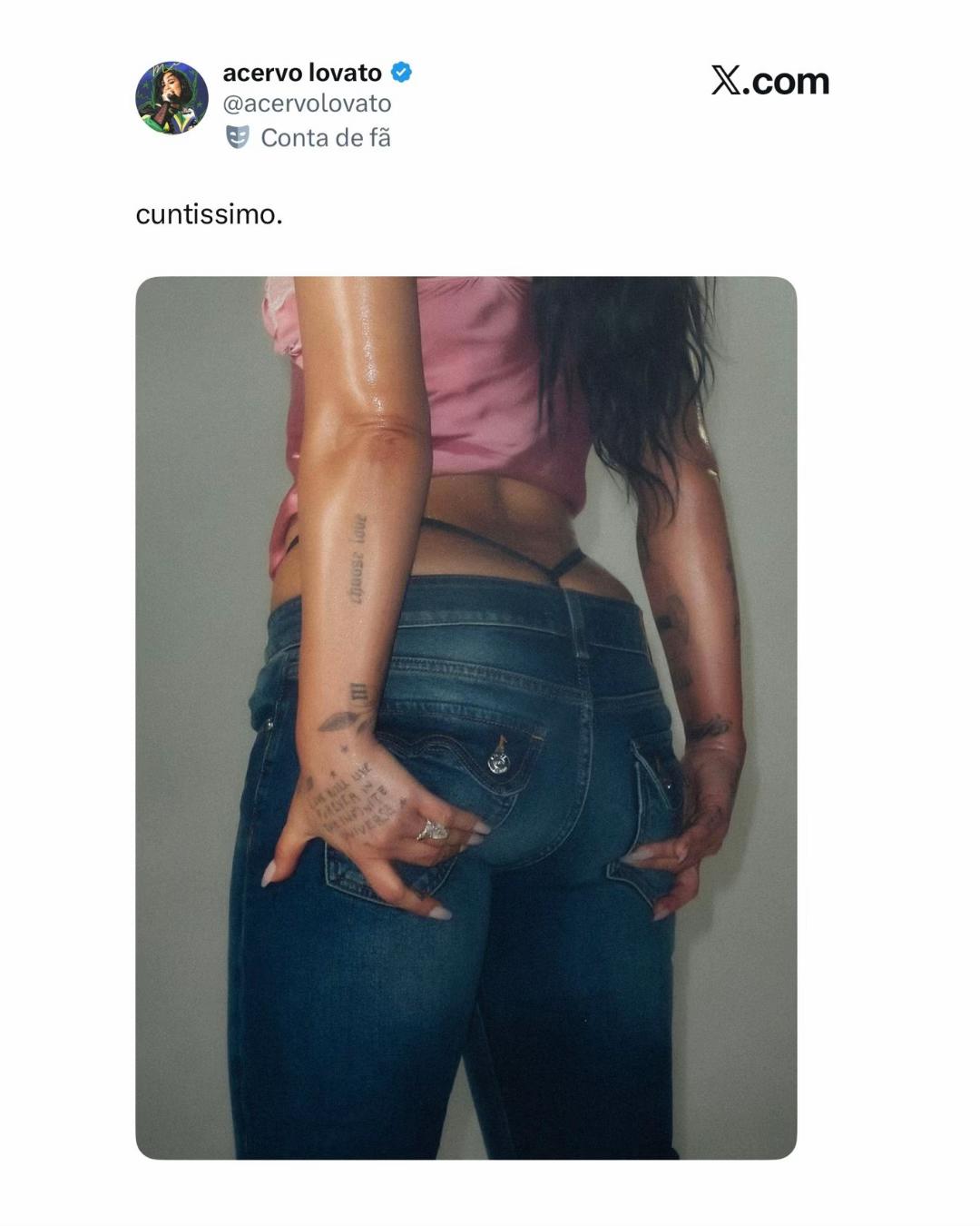@acervo lovato