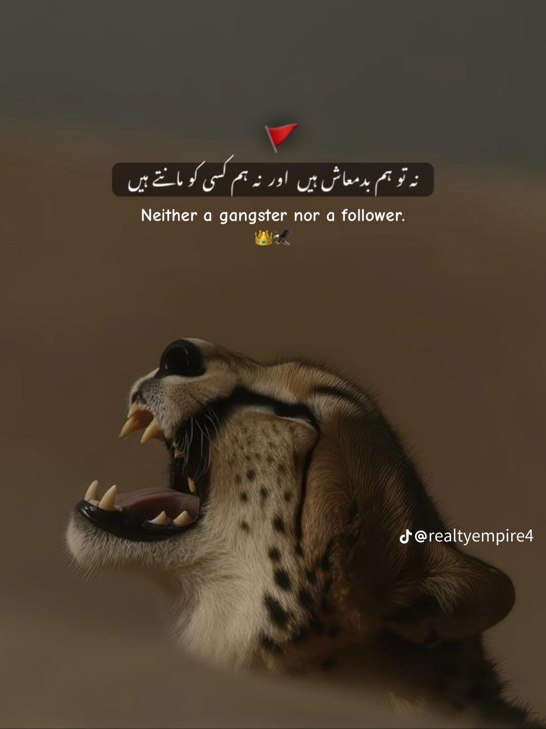 @🦁▄︻̷̿┻̿═━一 Umer Khokhar 💪