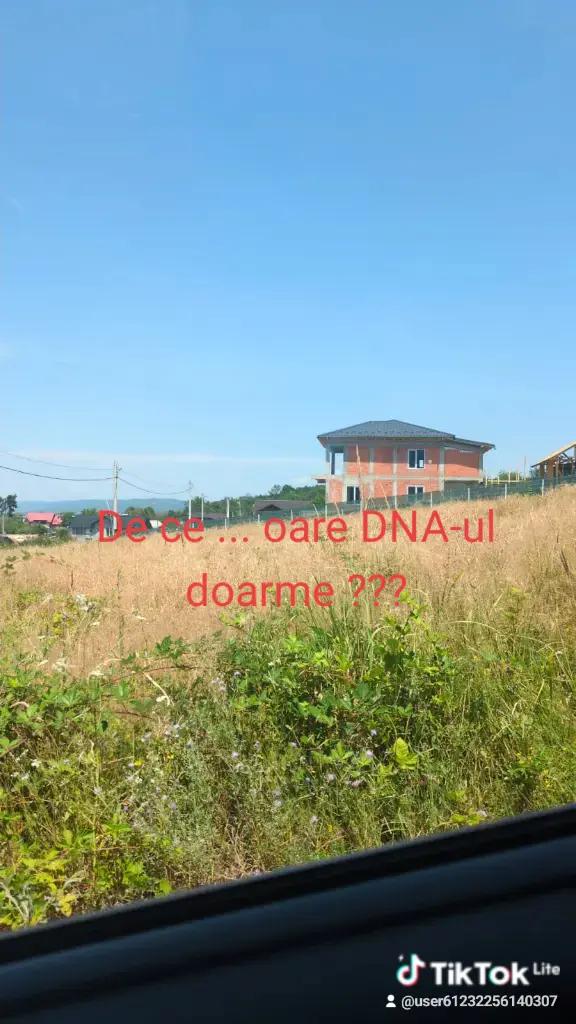 @Alpha
