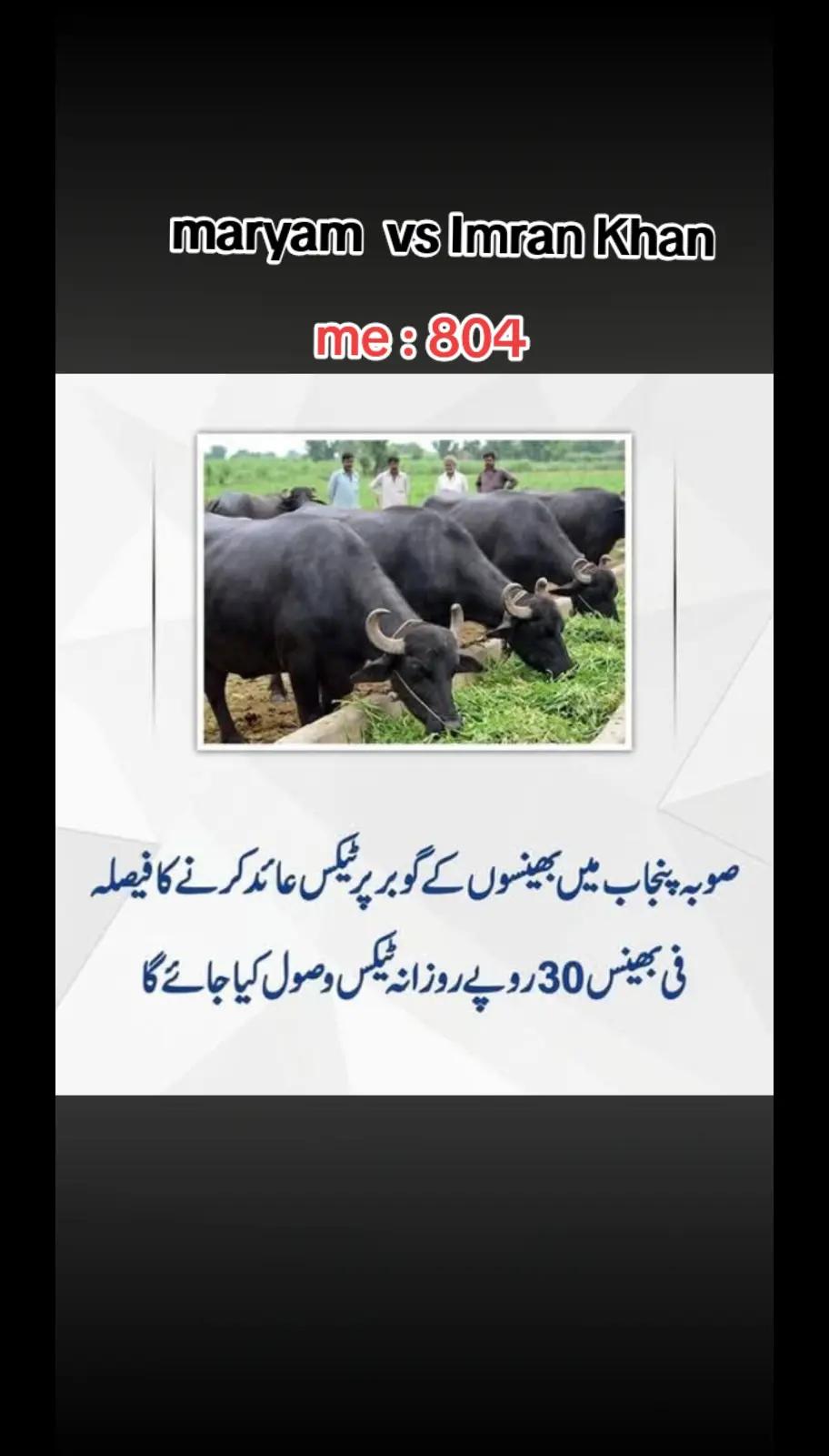 @Zubair Sial
