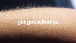 @Slxsh