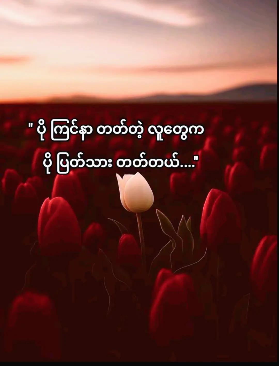 @https://youtube.com/watch?v=H6