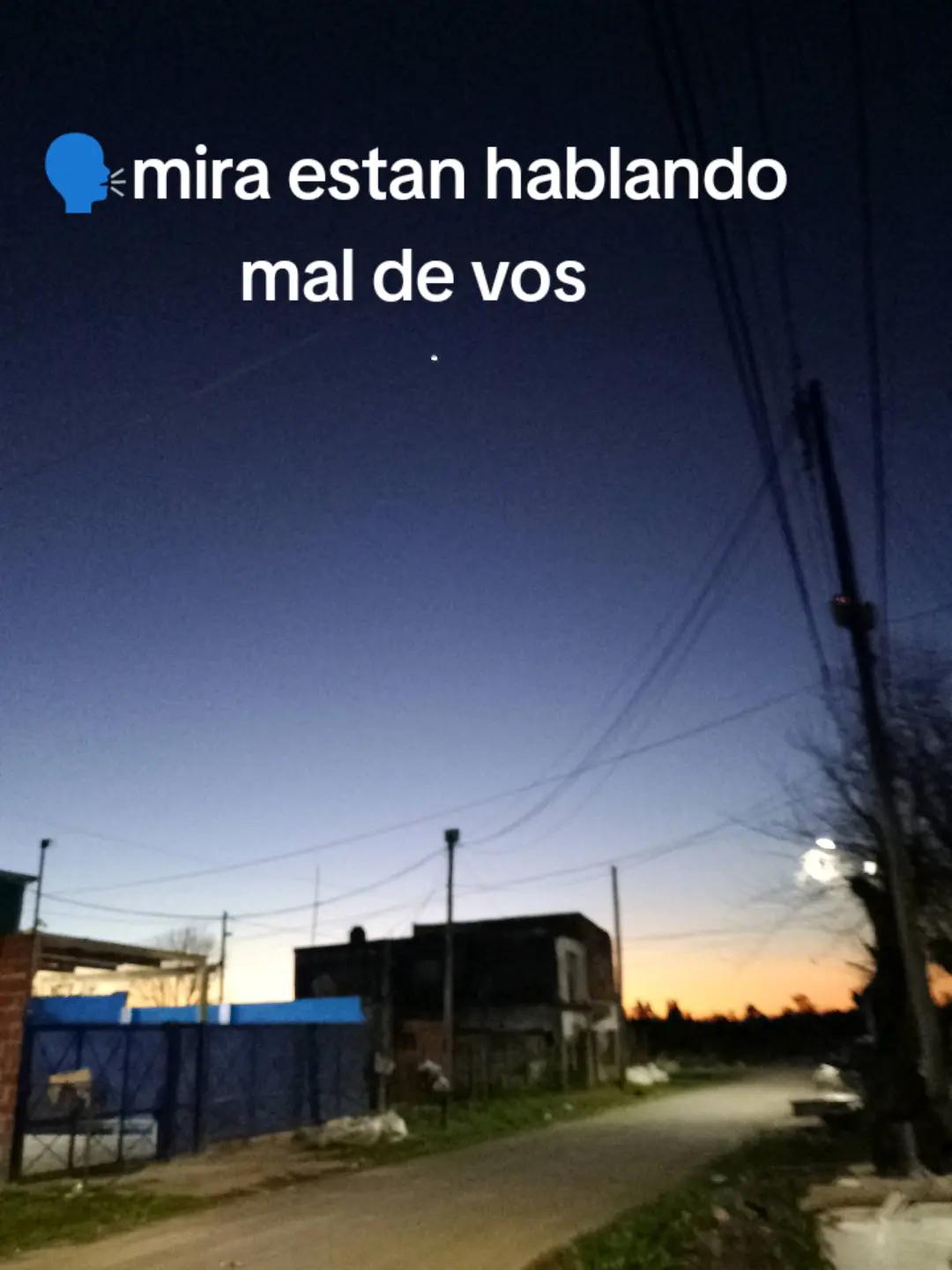 @luana fernandez