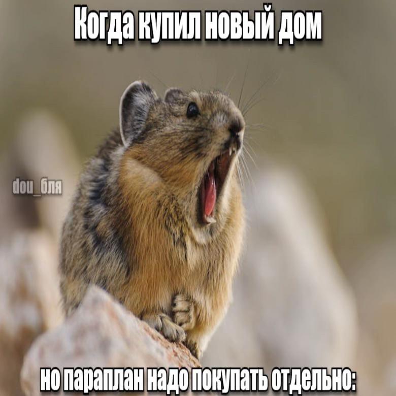 @dou_бля