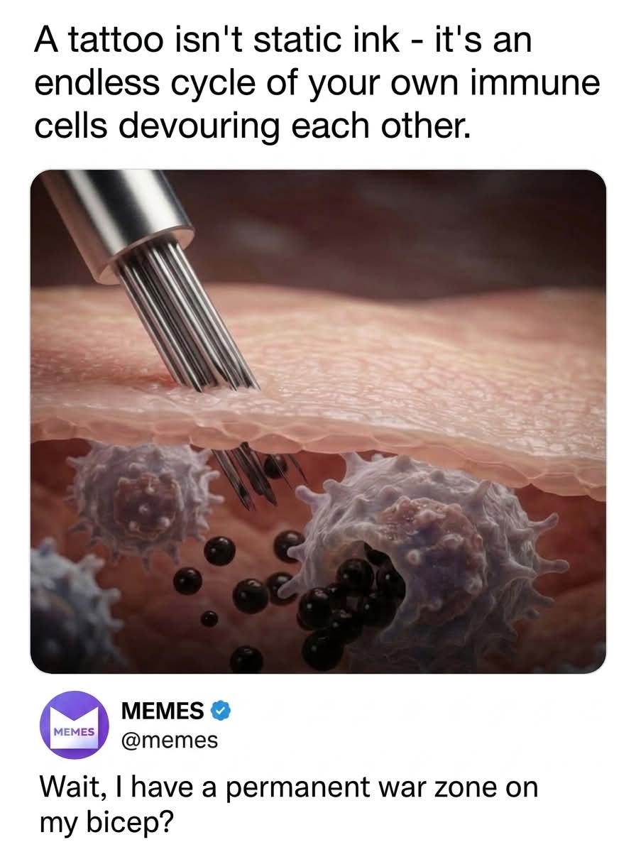@Meme Queen
