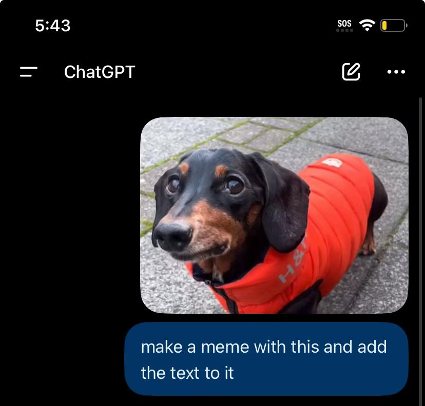 @smartest puppy