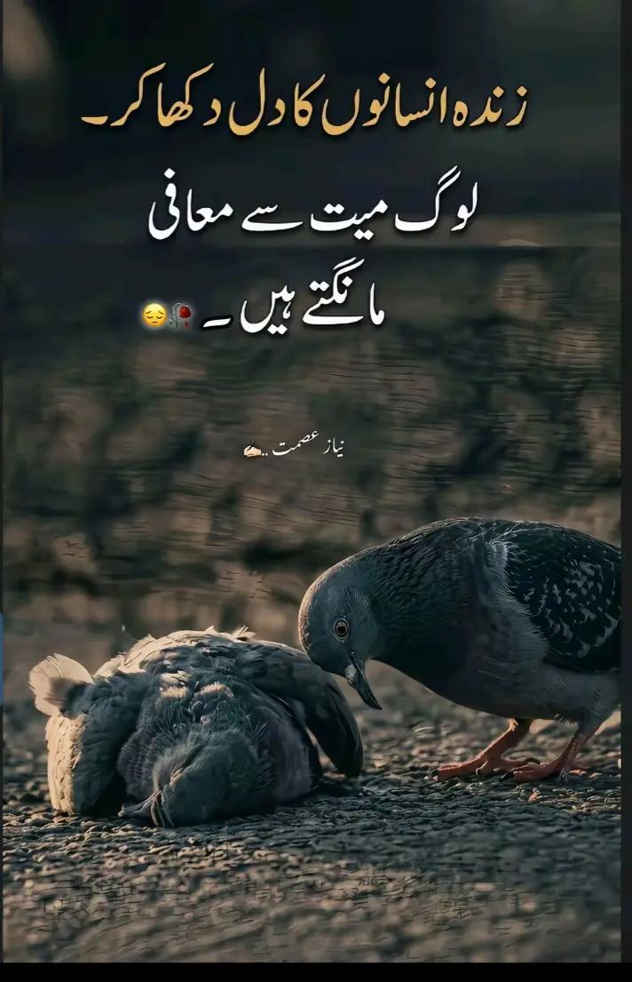@Noman Ijaz