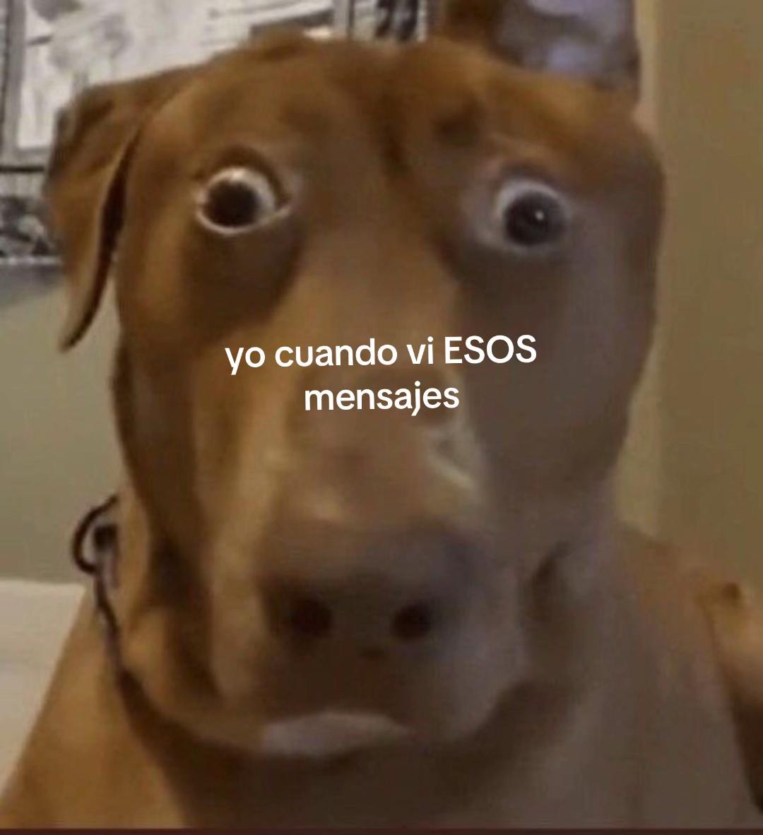 @secretaaaas