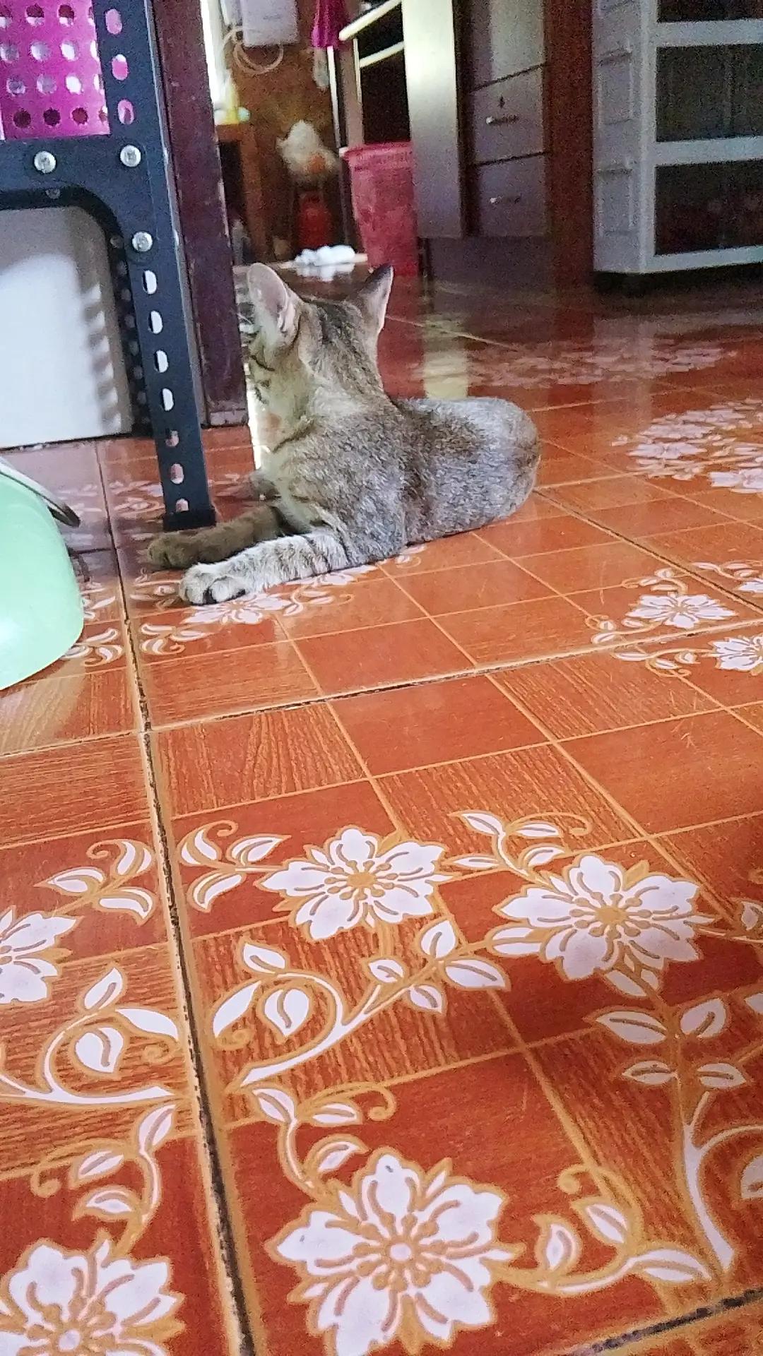 @👿👿😈😈ปีศาจสตางค์👿😈😈😈😈