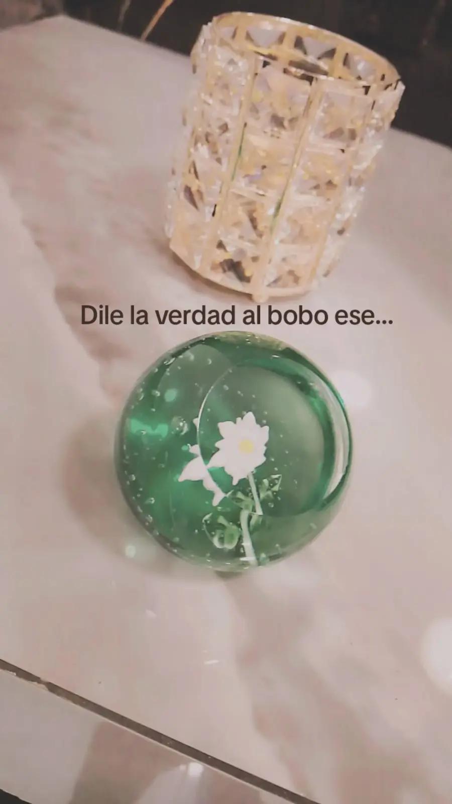 @✮❀🪼♡Evelyn♡🪼❀✮