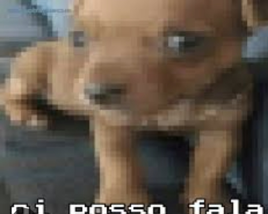 @sjsbs