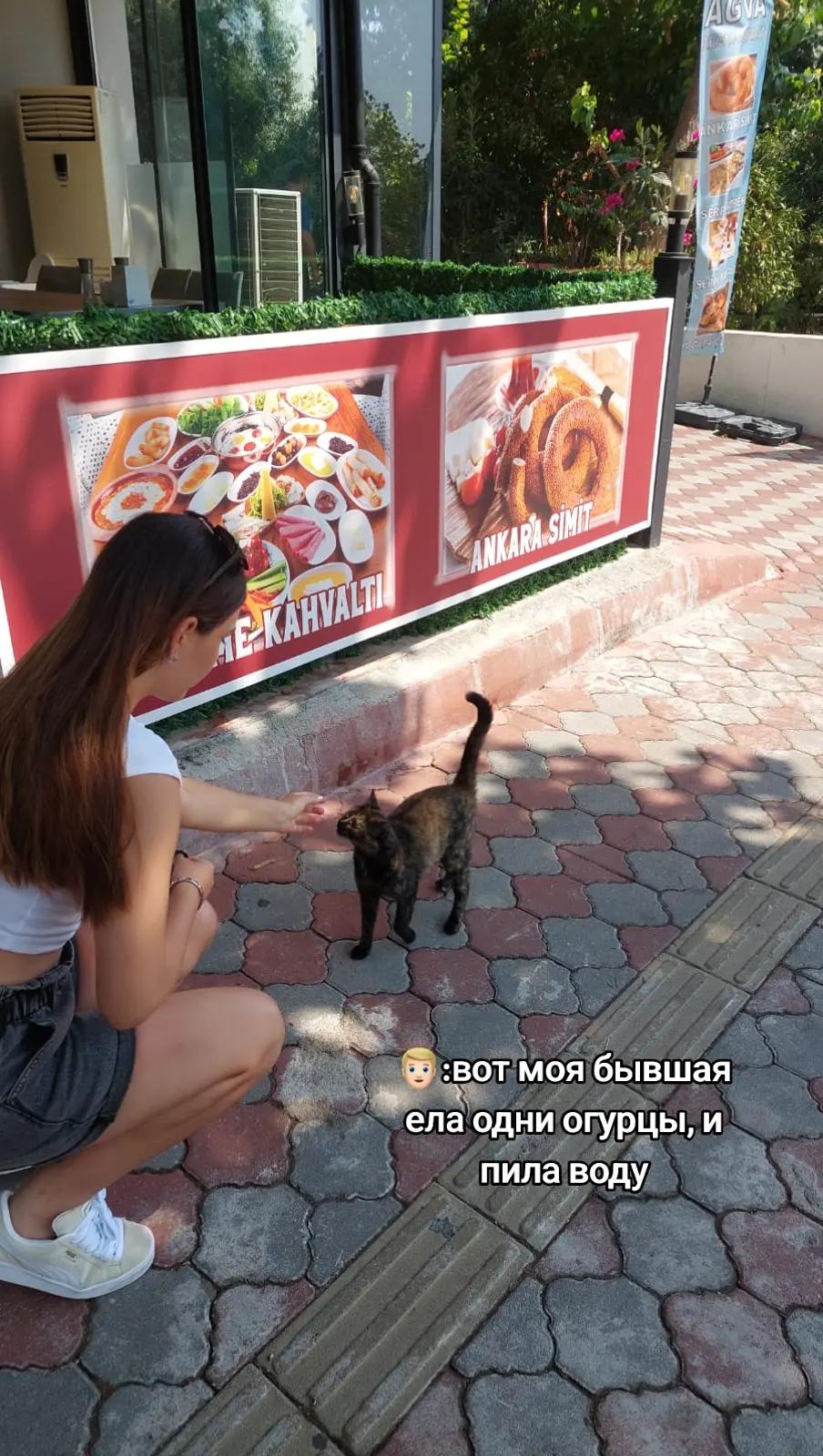 @ясëкаа
