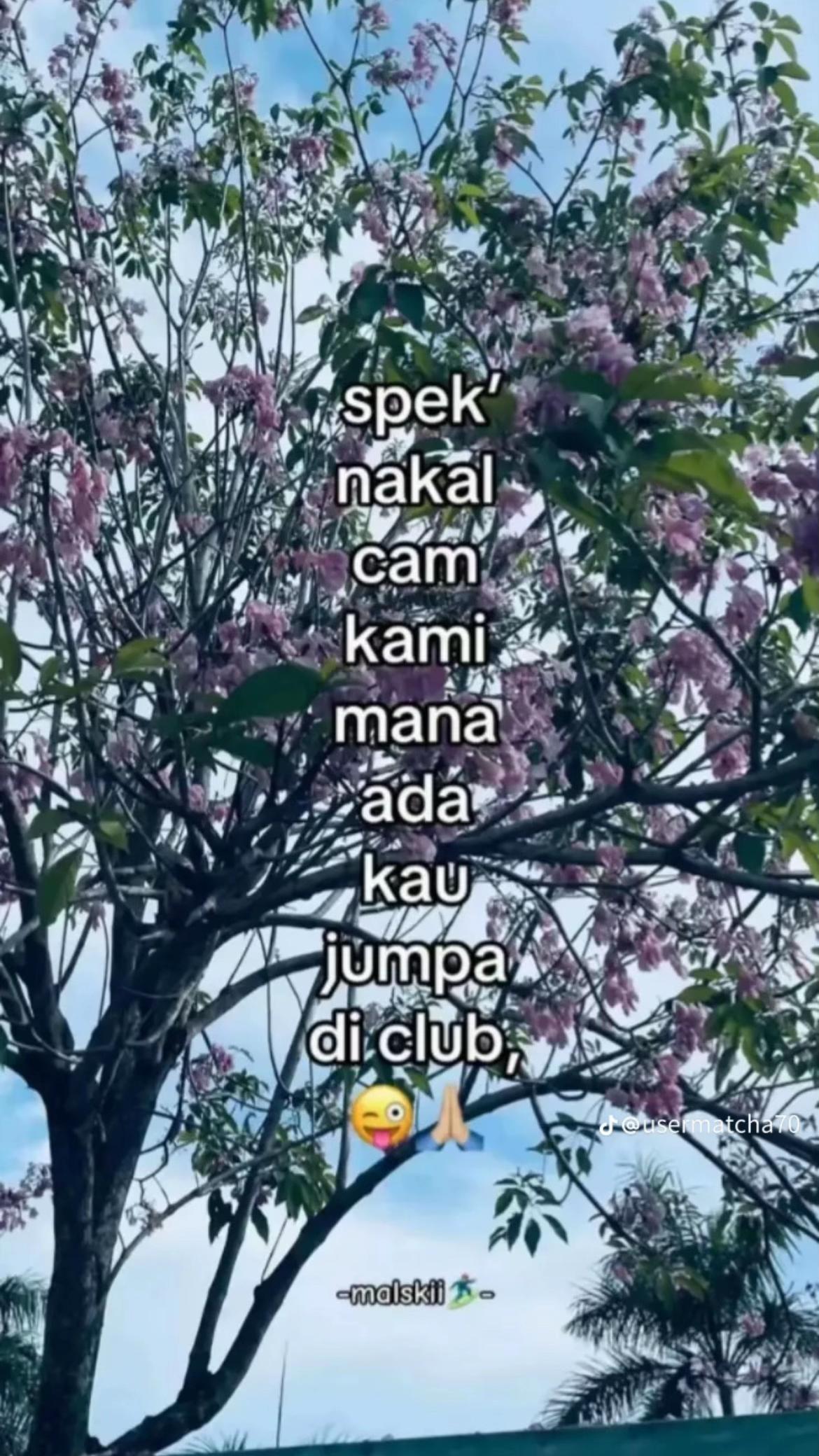 @H4sli4n4🍭