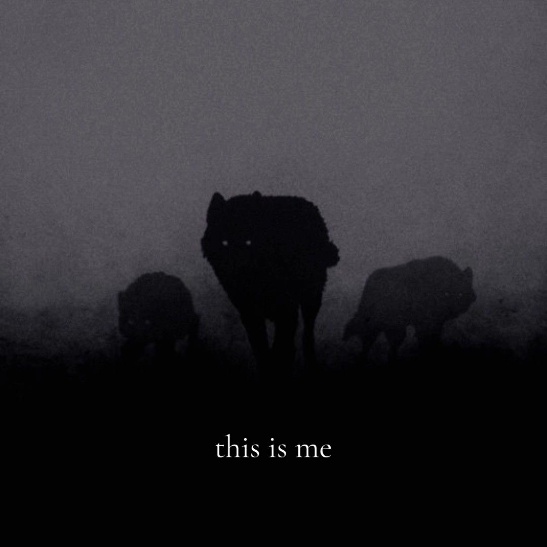 @⋮ ✩ 𝘭𝘺𝘬𝘰𝘴ˏˏ𓄀