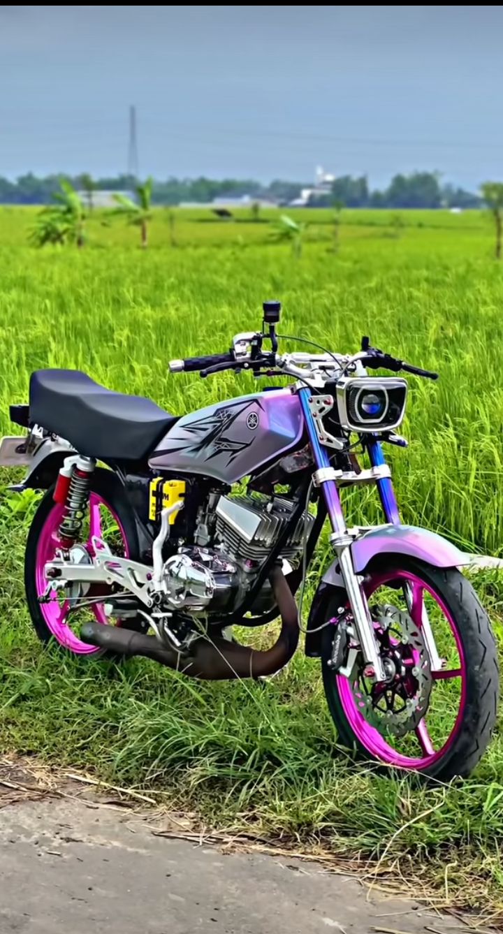 @RX KiNG 135