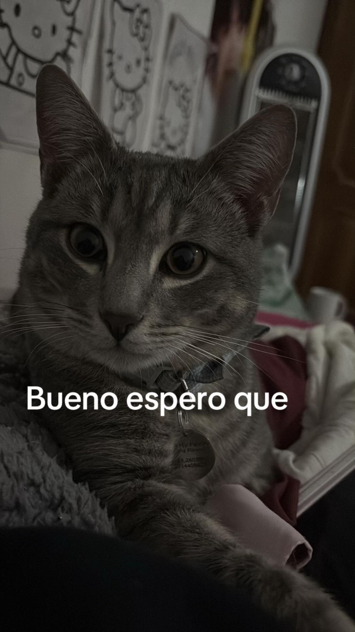 @Kiki🤓
