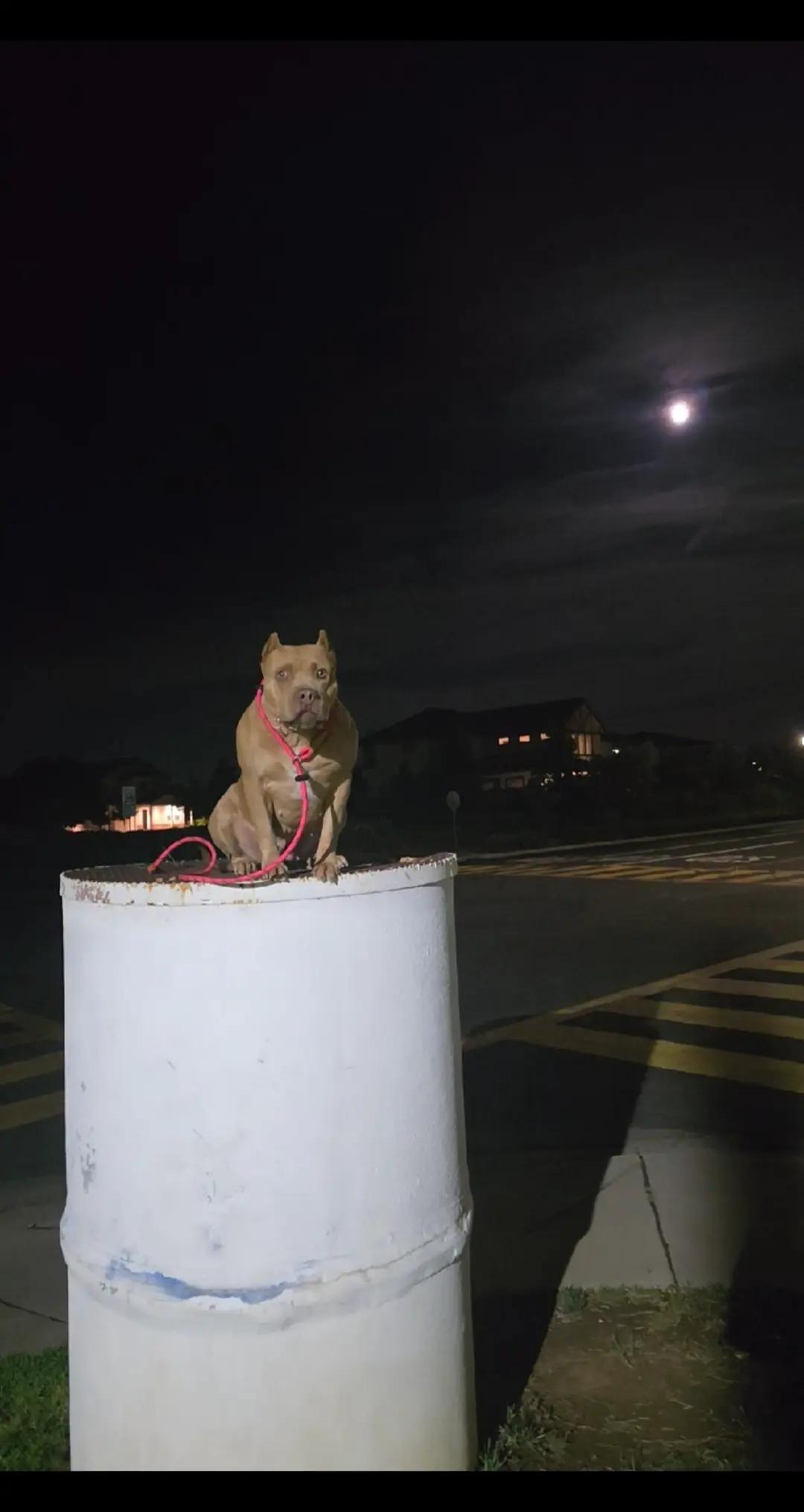 @hwy4bullyz
