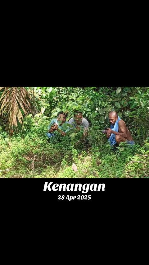 @zul mat deri