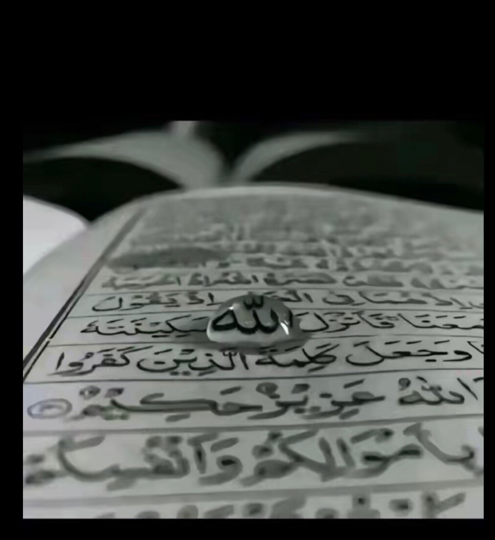 @🫵Oye saifi👀
