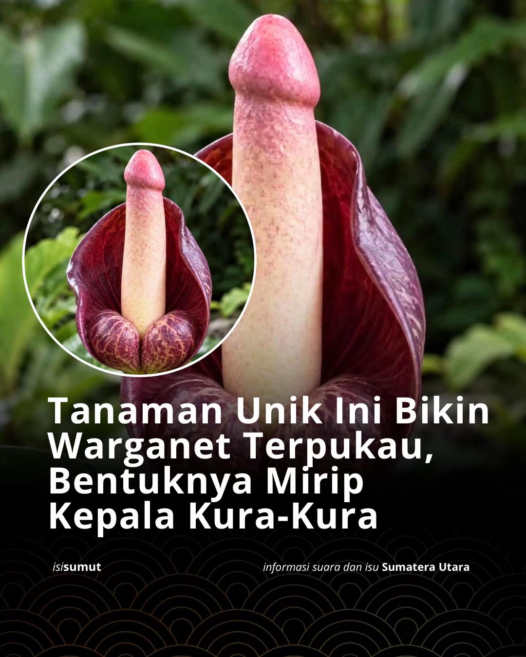 @Isi_Sumut