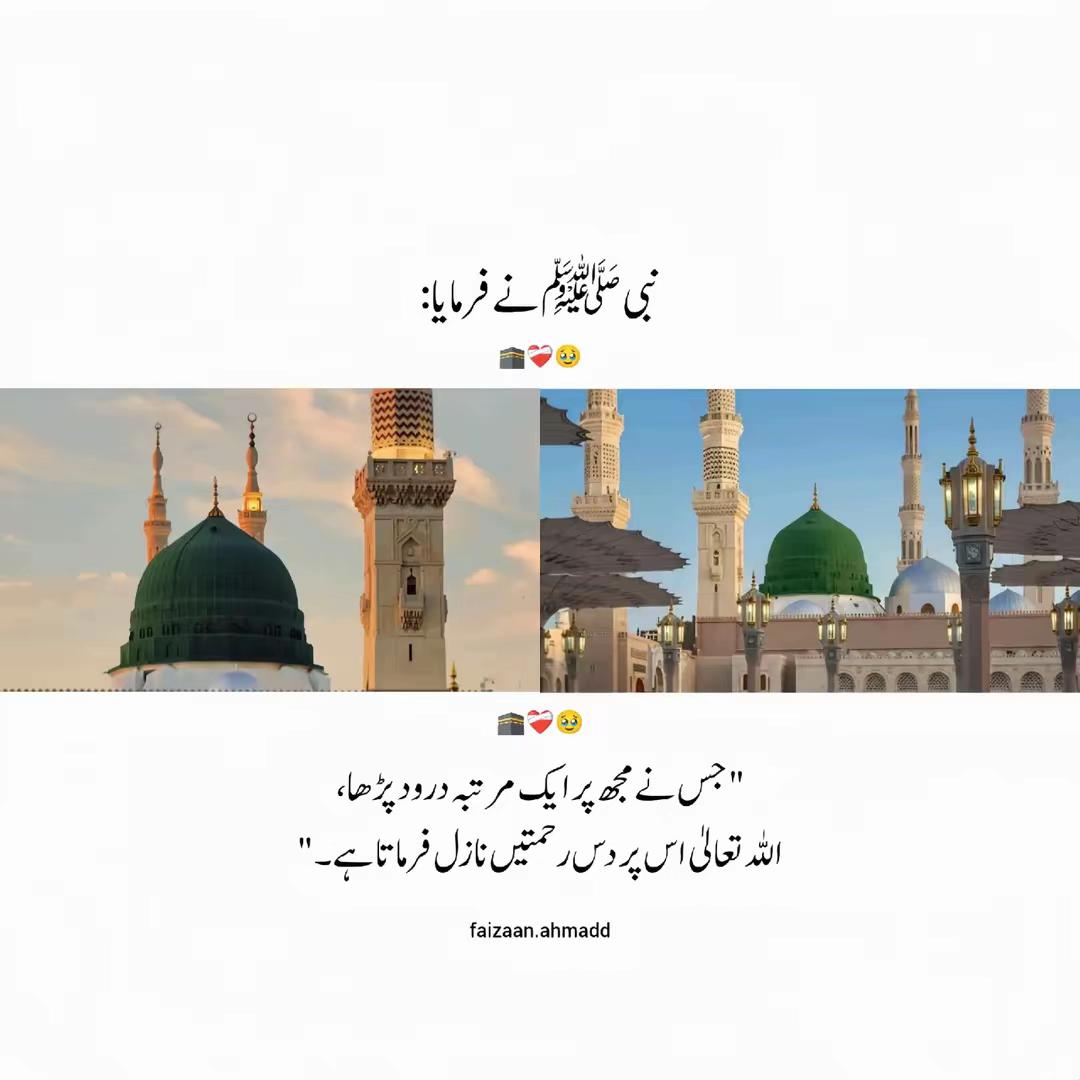 @🫥MALIK SHAHZAIB🗽