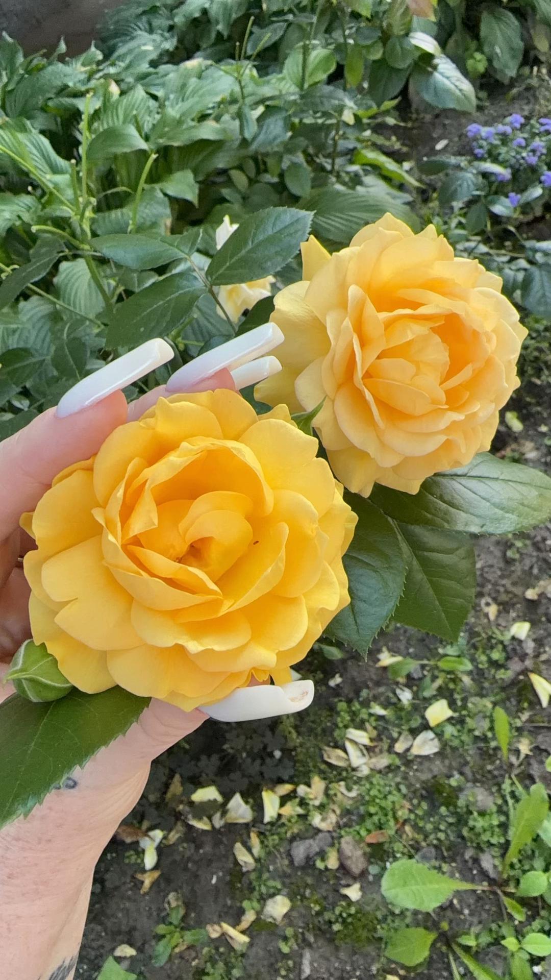 @Надін Шоп 🛍️ Жіночий одяг
