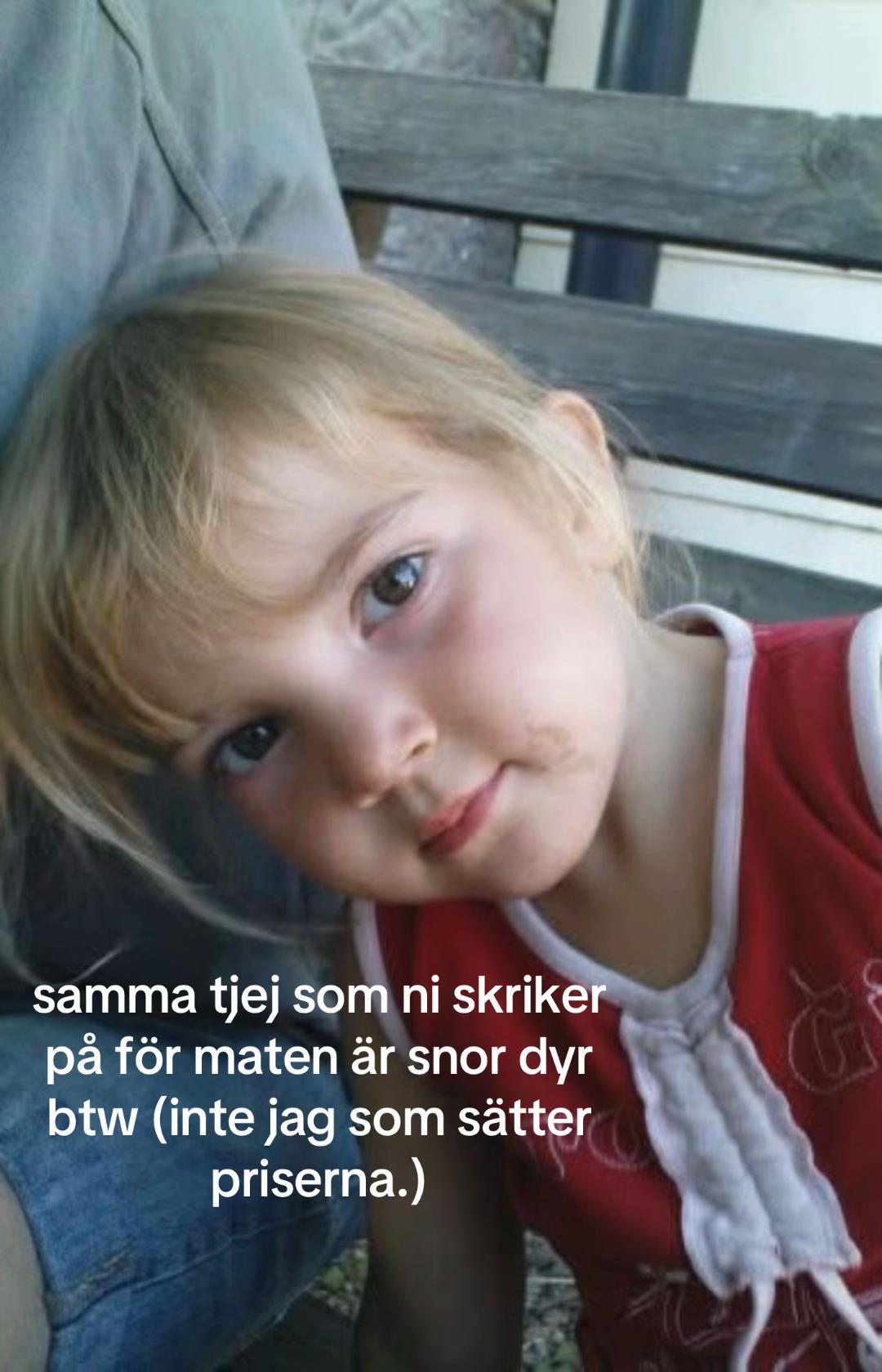 @frida sandström🪿