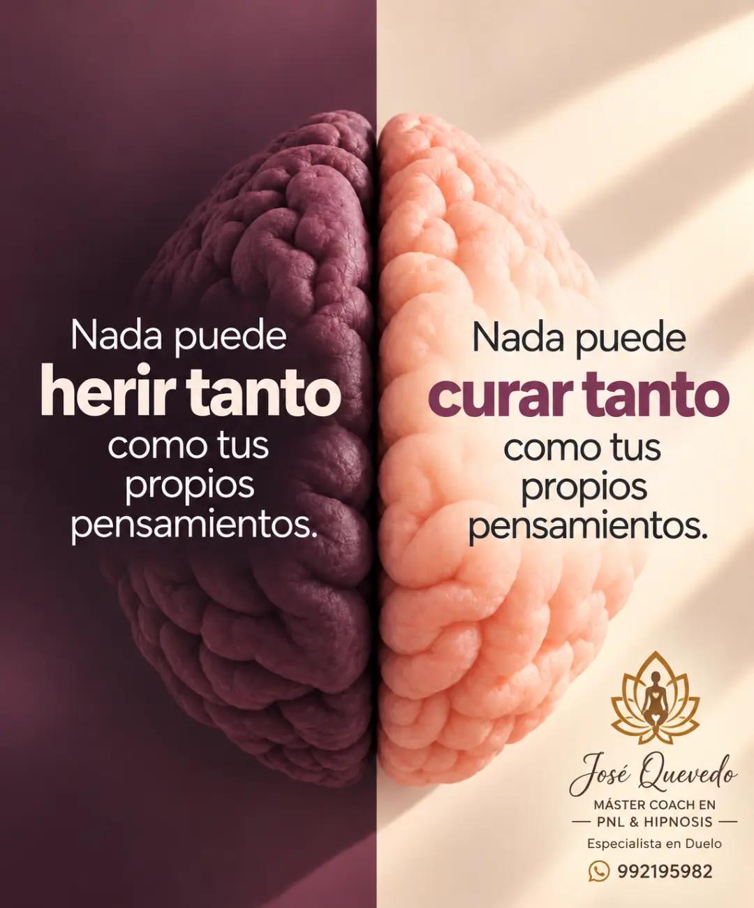 @José A. Quevedo Navarro