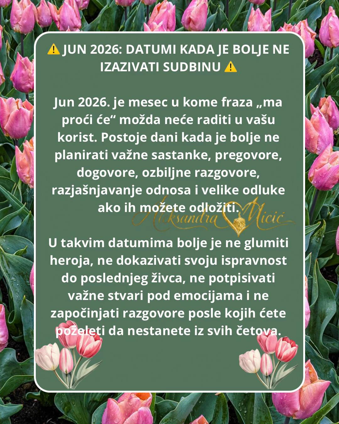 @Aleksandra Micic