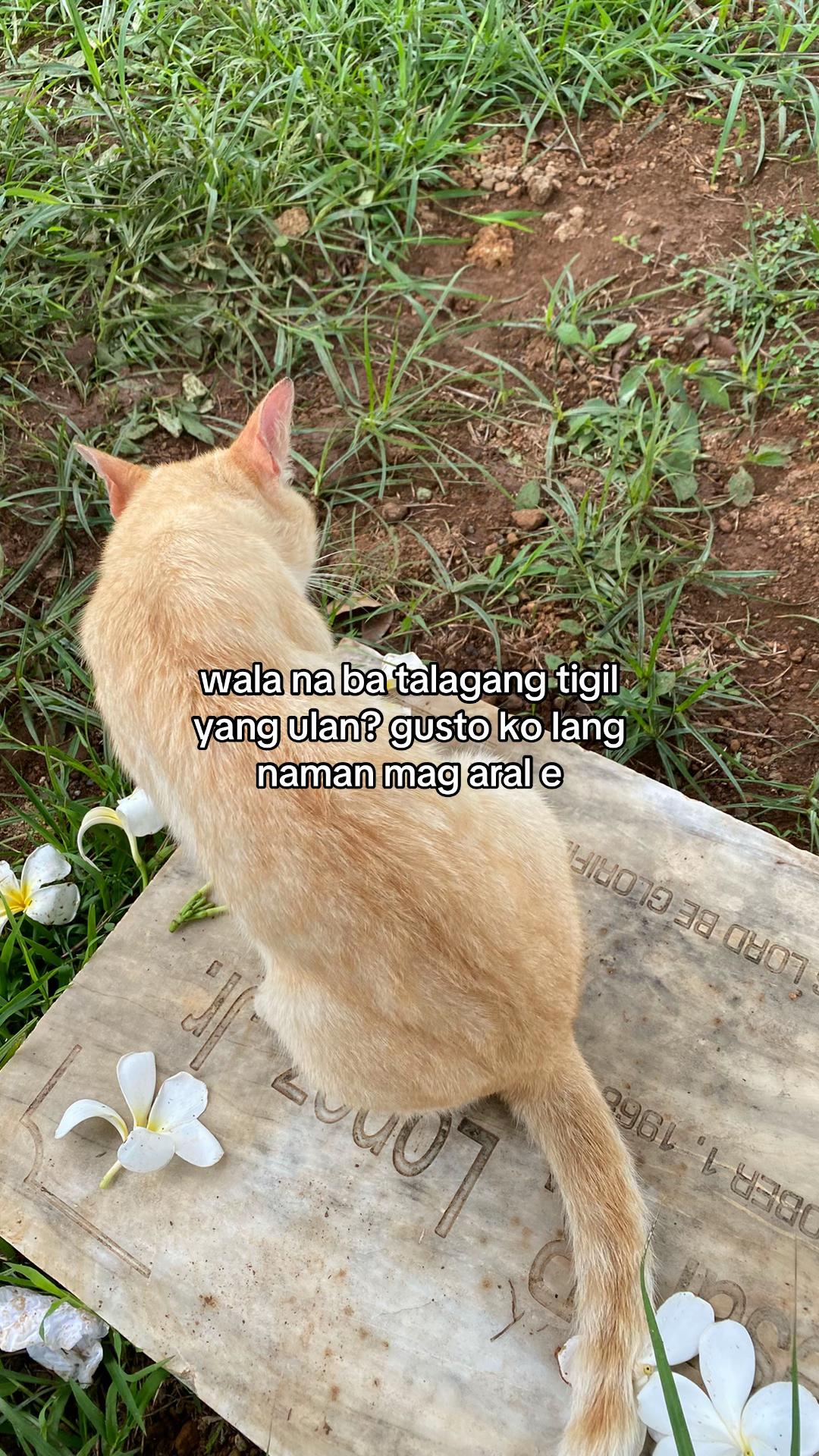 @Leo