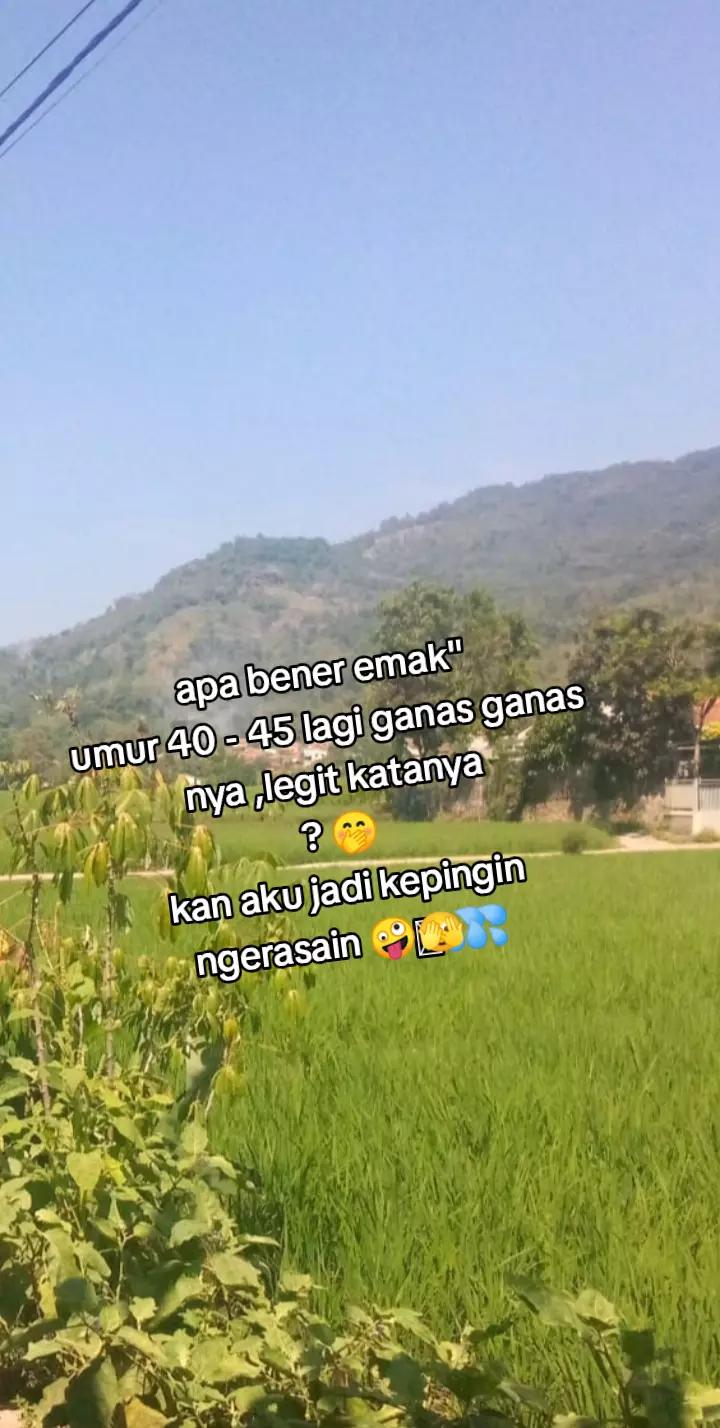 @ad virgo