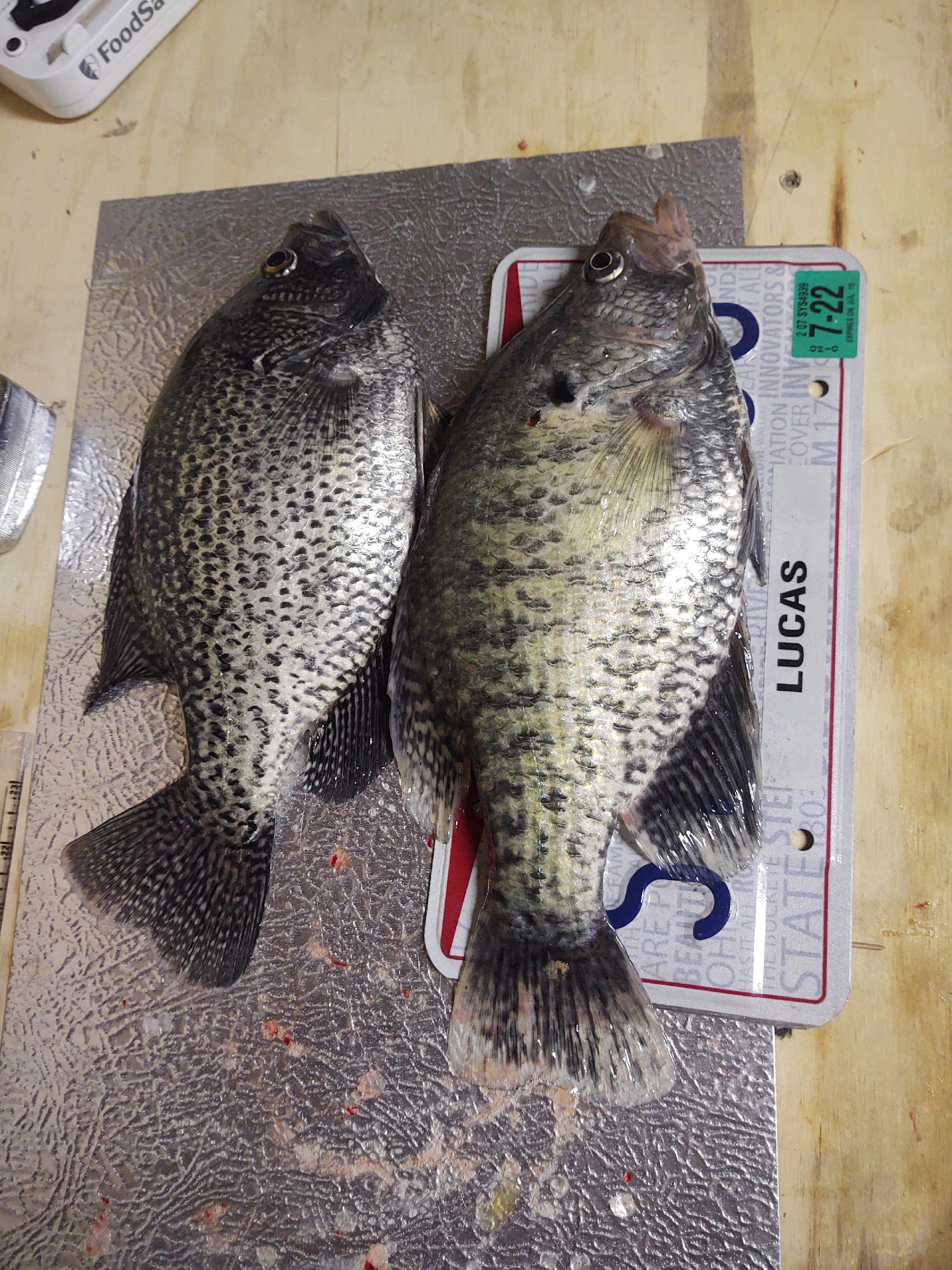 @blackswampbaitntackle