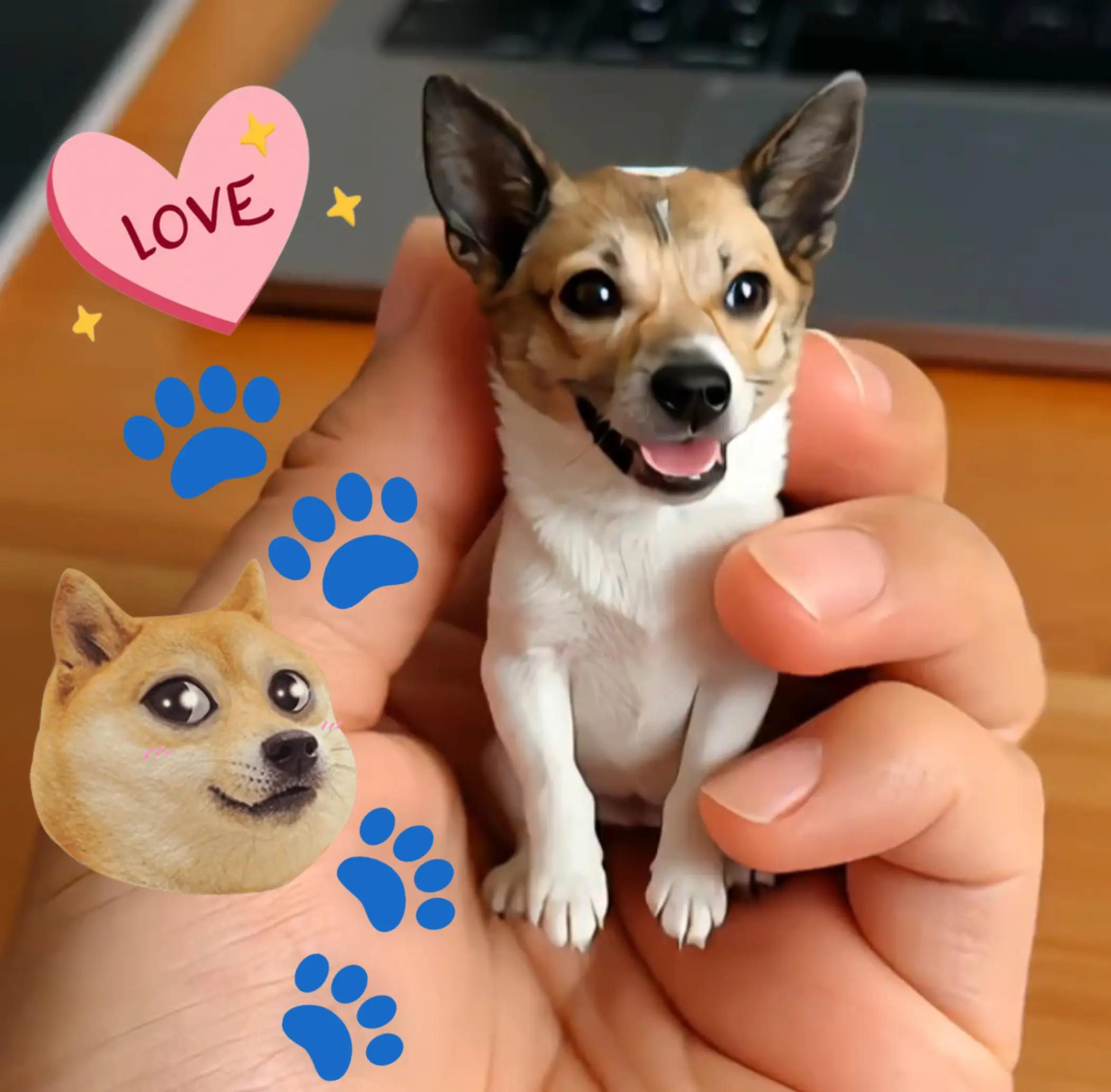 @大珍寶🥕🦮🐕🦺🐈⬛🐈🐕