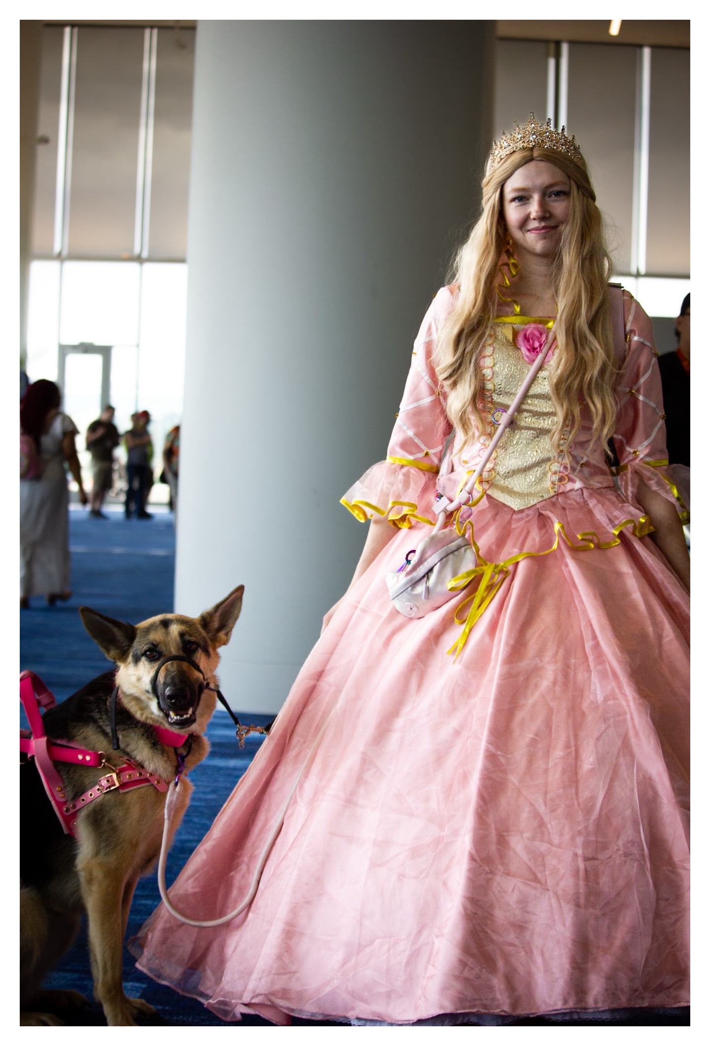 @duchesstheworkingdog
